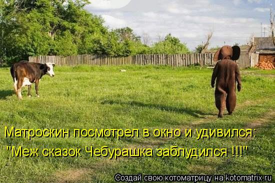 Котоматрица: Матроскин посмотрел в окно и удивился: "Меж сказок Чебурашка заблудился !!!"