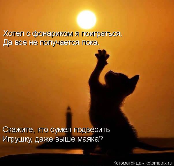 Котоматрица: Хотел с фонариком я поиграться. Да все не получается пока. Скажите, кто сумел подвесить Игрушку, даже выше маяка?