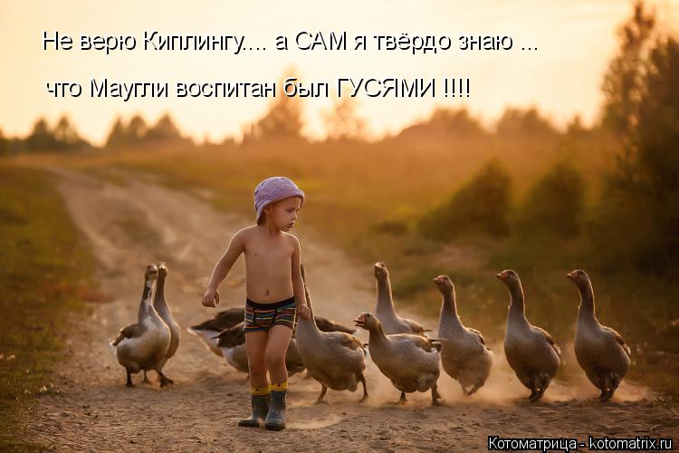 Котоматрица: Не верю Киплингу.... а САМ я твёрдо знаю ... что Маугли воспитан был ГУСЯМИ !!!!