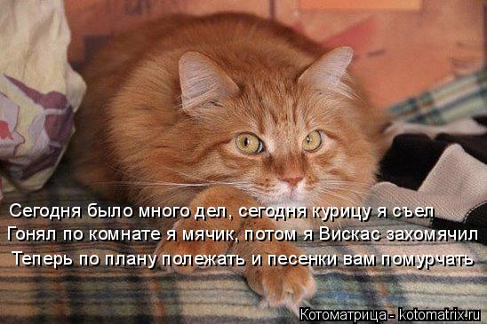 Котоматрица: Сегодня было много дел, сегодня курицу я съел Теперь по плану полежать и песенки вам помурчать Гонял по комнате я мячик, потом я Вискас захо