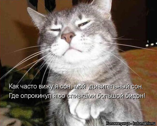 Где опрокинул я со сливками большой бидон! Как часто вижу я сон, мой удивительный сон.... Котоматрица: Где опрокинул я со сливками большой бидон! Как часто вижу я сон, мой удивительный сон.