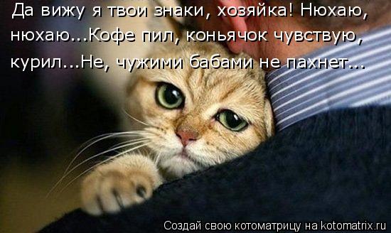 Котоматрица: Да вижу я твои знаки, хозяйка! Нюхаю,  нюхаю...Кофе пил, коньячок чувствую,  курил...Не, чужими бабами не пахнет...