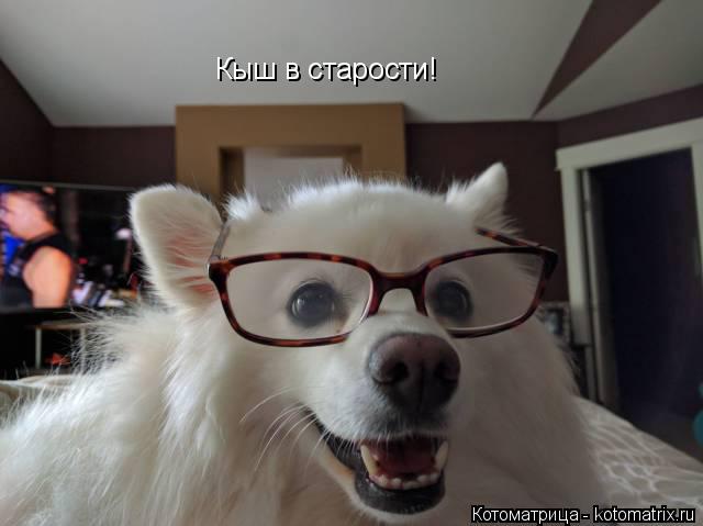 Котоматрица: Кыш в старости!