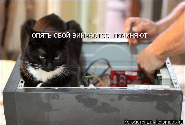 Котоматрица: опять свой винчестер  починяют