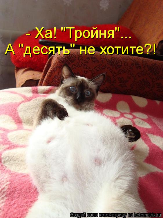 А "десять" не хотите?! - Ха! "Тройня"...... Котоматрица: А "десять" не хотите?! - Ха! "Тройня"...