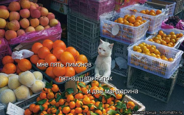 Котоматрица: мне пять лимонов пятнадцать яблок и два мандарина