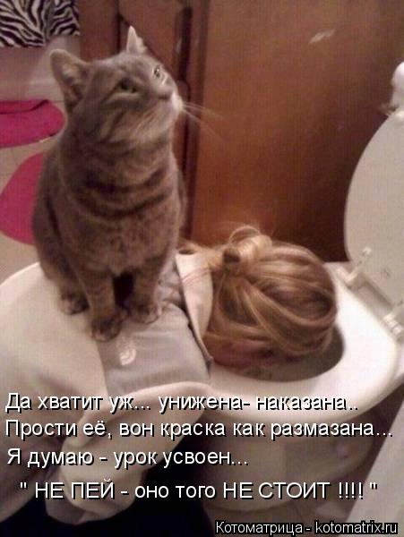 Котоматрица: Да хватит уж... унижена- наказана.. Прости её, вон краска как размазана... Я думаю - урок усвоен...  " НЕ ПЕЙ - оно того НЕ СТОИТ !!!! "