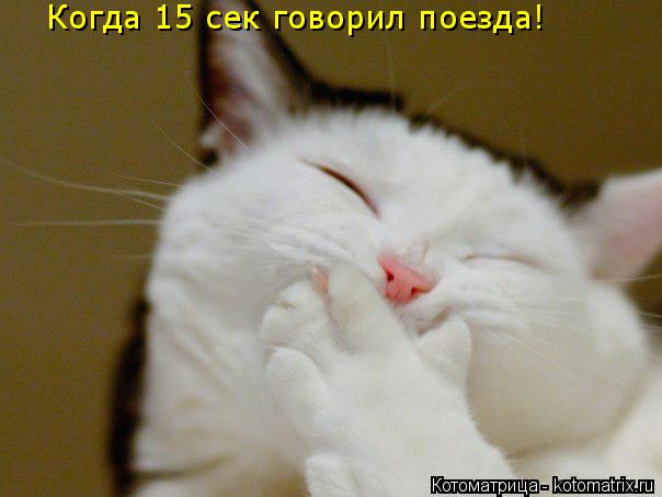 Котоматрица: Когда 15 сек говорил поезда!