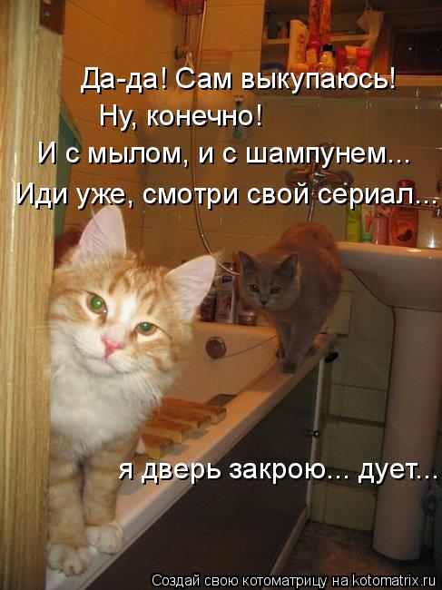 Котоматрица: Да-да! Сам выкупаюсь! Ну, конечно!  И с мылом, и с шампунем... Иди уже, смотри свой сериал... я дверь закрою... дует...