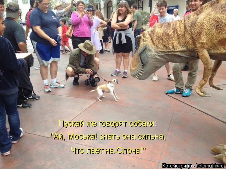 Котоматрица: Пускай же говорят собаки:       "Ай, Моська! знать она сильна,     Что лает на Слона!"