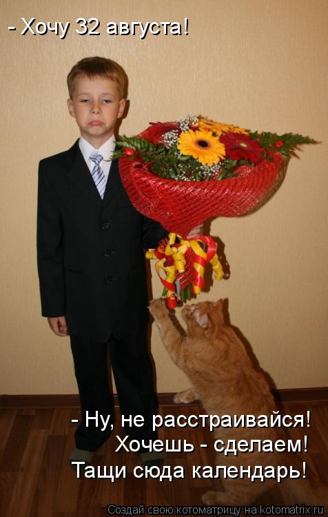 Котоматрица: - Хочу 32 августа! - Ну, не расстраивайся!  Хочешь - сделаем! Тащи сюда календарь!
