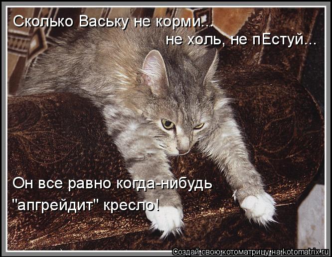 Котоматрица: Сколько Ваську не корми...  не холь, не пЕстуй... Он все равно когда-нибудь "апгрейдит" кресло!