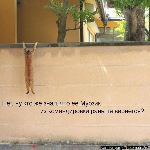 Котоматрица: Нет, ну кто же знал, что ее Мурзик  из командировки раньше вернется?
