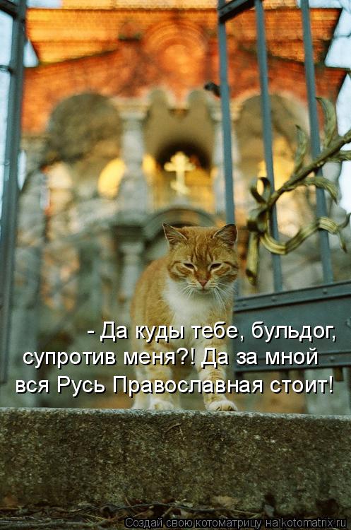 Котоматрица: - Да куды тебе, бульдог, супротив меня?! Да за мной вся Русь Православная стоит!