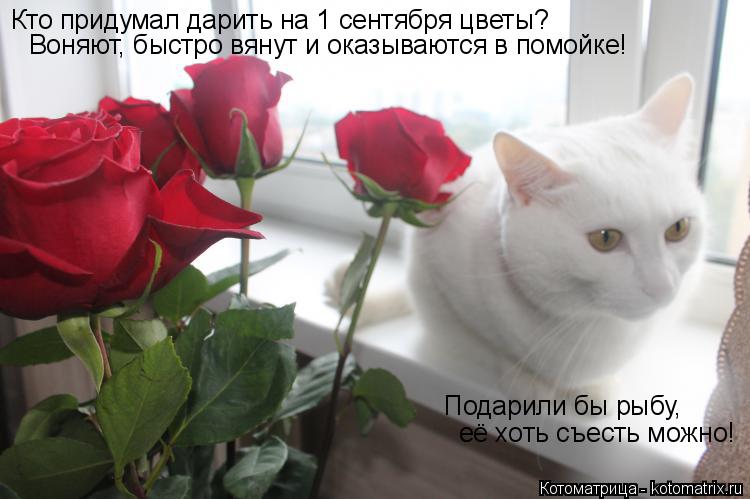 Жители какой страны их придумали дарить друг другу подарки Жители какой страны их придумали дарить друг другу подарки