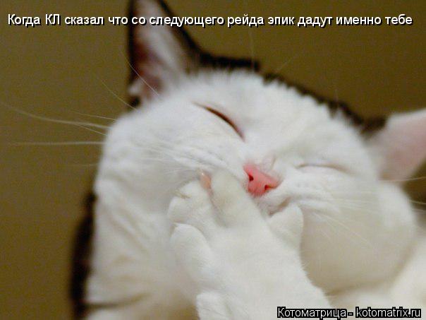 Котоматрица: Когда КЛ сказал что со следующего рейда эпик дадут именно тебе