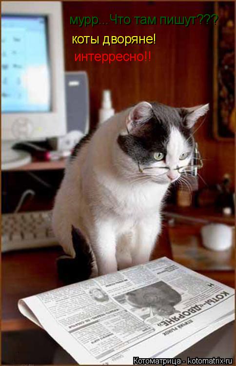 Котоматрица: мурр...Что там пишут??? коты дворяне! интерресно!!