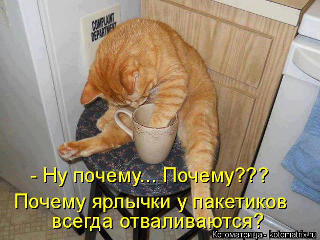 Котоматрица: - Ну почему... Почему??? Почему ярлычки у пакетиков   всегда отваливаются?