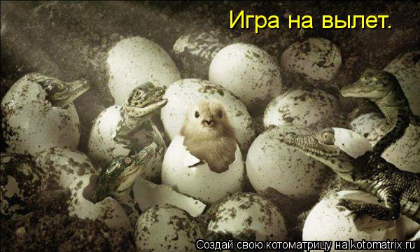Котоматрица: Игра на вылет.