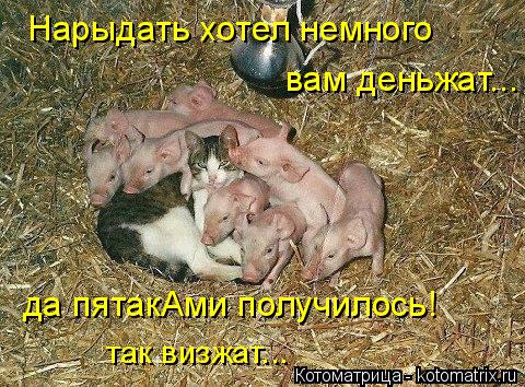 да пятакАми получилось! Нарыдать хотел немного вам деньжат... так визжат...... Котоматрица: да пятакАми получилось! Нарыдать хотел немного вам деньжат... так визжат...