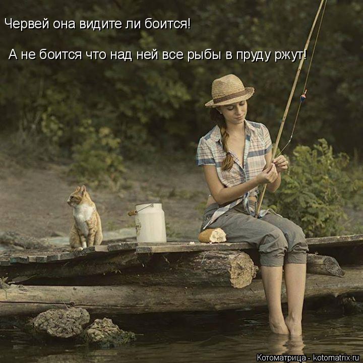 Котоматрица: Червей она видите ли боится! А не боится что над ней все рыбы в пруду ржут!