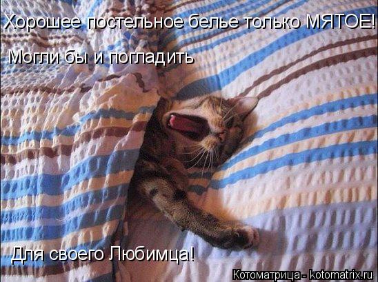 Котоматрица: Хорошее постельное белье только МЯТОЕ! Могли бы и погладить Для своего Любимца!