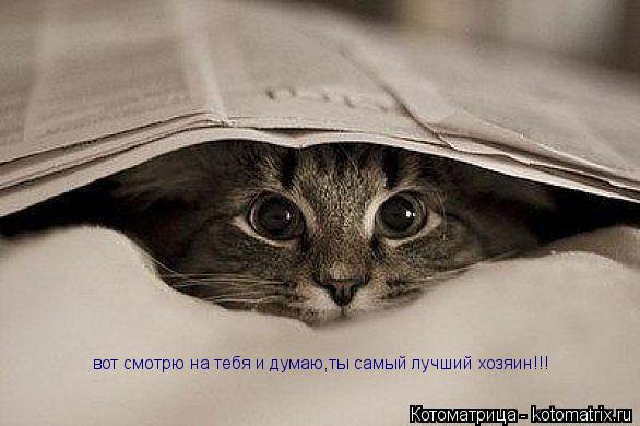 Котоматрица: вот смотрю на тебя и думаю,ты самый лучший хозяин!!!