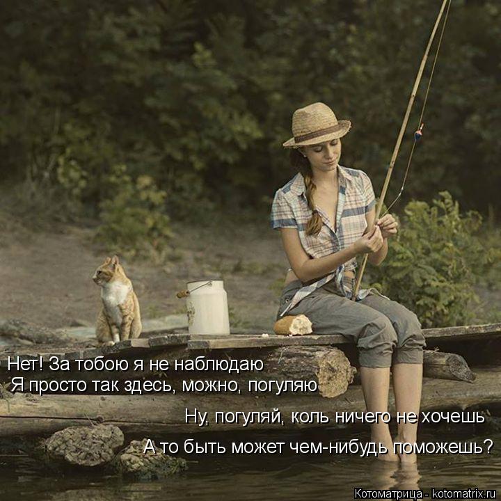 Котоматрица: Нет! За тобою я не наблюдаю Ну, погуляй, коль ничего не хочешь А то быть может чем-нибудь поможешь? Я просто так здесь, можно, погуляю