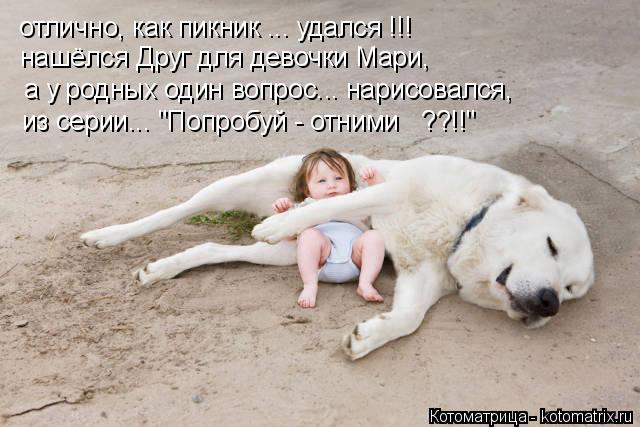 Котоматрица: отлично, как пикник ... удался !!! нашёлся Друг для девочки Мари, а у родных один вопрос... нарисовался, из серии... "Попробуй - отними   ??!!"