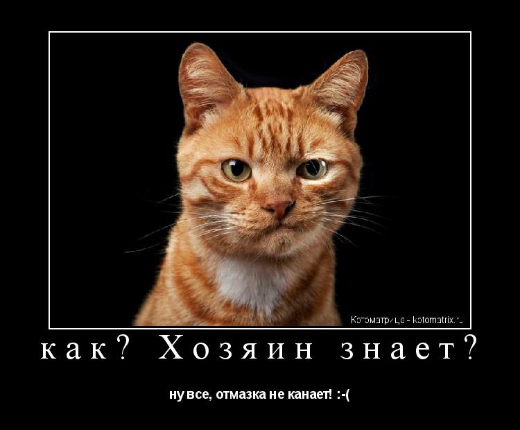 Котоматрица: как? Хозяин знает? ну все, отмазка не канает! :-(