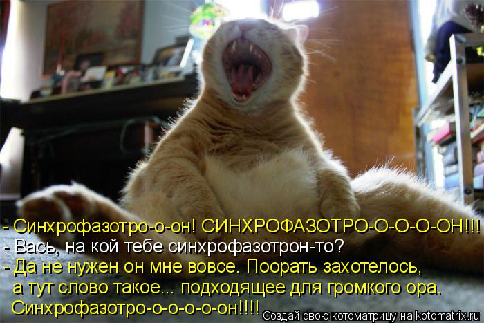 Котоматрица: - Синхрофазотро-о-он! СИНХРОФАЗОТРО-О-О-О-ОН!!! - Вась, на кой тебе синхрофазотрон-то? - Да не нужен он мне вовсе. Поорать захотелось,  а тут слово