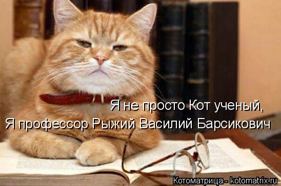 Котоматрица: Я не просто Кот ученый, Я профессор Рыжий Василий Барсикович