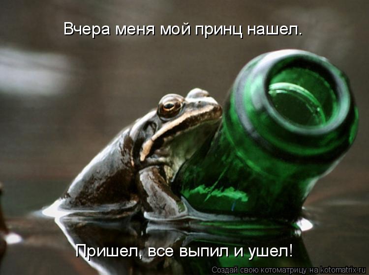 Котоматрица: Пришел, все выпил и ушел! Вчера меня мой принц нашел.