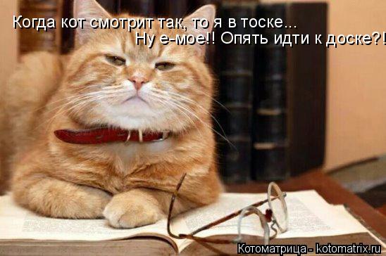 Котоматрица: Когда кот смотрит так, то я в тоске... Ну е-мое!! Опять идти к доске?!