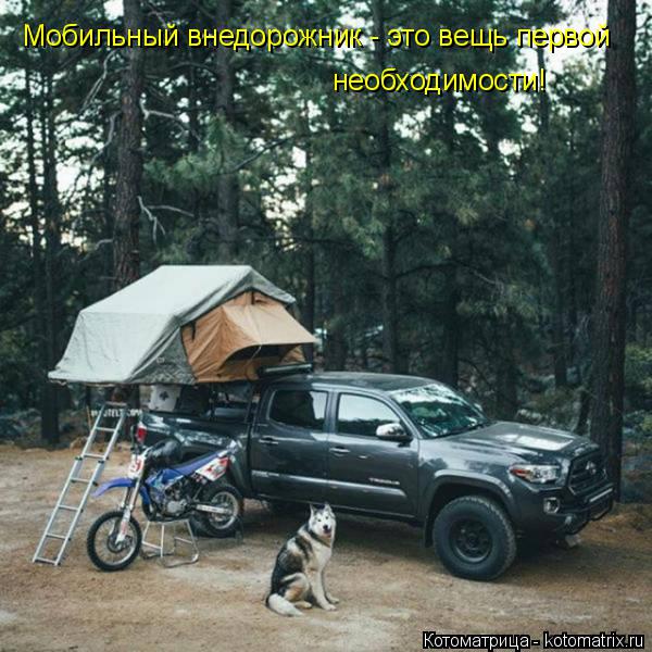 Котоматрица: Мобильный внедорожник - это вещь первой  необходимости!