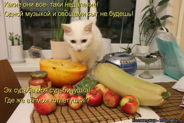 Котоматрица: Какие они все- таки недалекие! Одной музыкой и овощами сыт не будешь! Эх судьба моя судьбинушка! Где же вы мои котлетушки!?