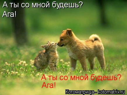 Котоматрица: А ты со мной будешь? Ага! А ты со мной будешь? Ага!
