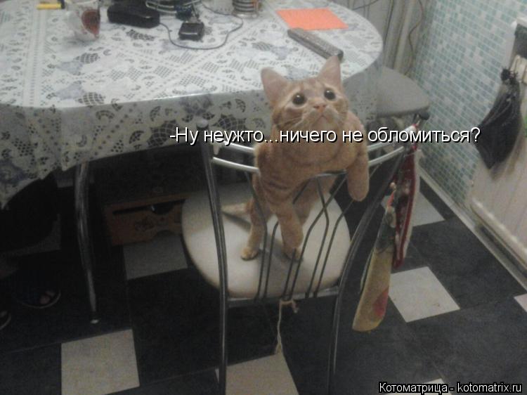 Котоматрица: -Ну неужто...ничего не обломиться?