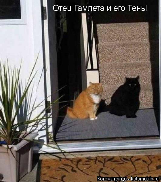 Котоматрица: Отец Гамлета и его Тень!