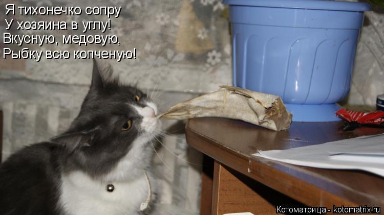 Котоматрица: Я тихонечко сопру У хозяина в углу! Вкусную, медовую, Рыбку всю копченую!