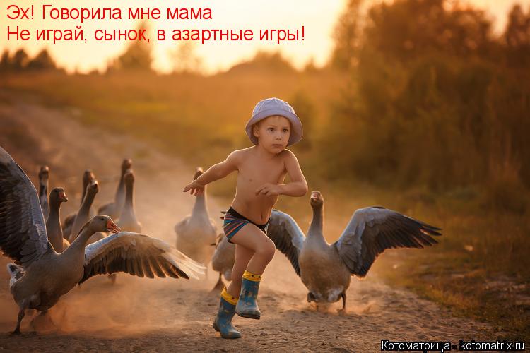 Котоматрица: Эх! Говорила мне мама Не играй, сынок, в азартные игры!