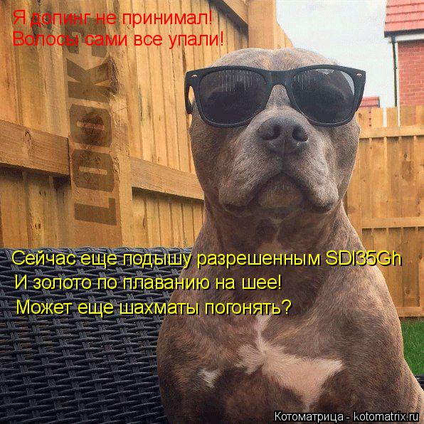 Котоматрица: Я допинг не принимал! Волосы сами все упали! Сейчас еще подышу разрешенным SDl35Gh И золото по плаванию на шее! Может еще шахматы погонять?
