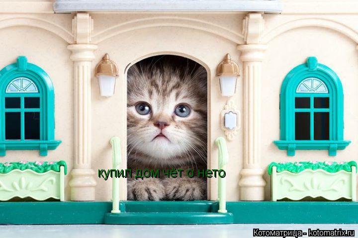 Котоматрица: купил дом чёт о нето