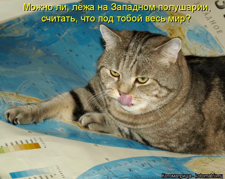 Котоматрица: Можно ли, лёжа на Западном полушарии, считать, что под тобой весь мир?