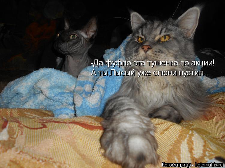 Котоматрица: -Да фуфло эта тушенка по акции! А ты,Лысый уже слюни пустил..