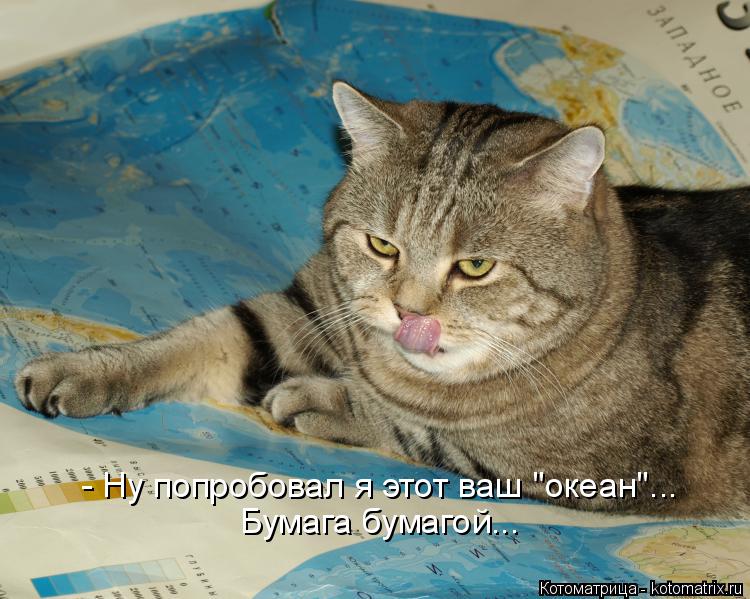 Котоматрица: - Ну попробовал я этот ваш "океан"... Бумага бумагой...