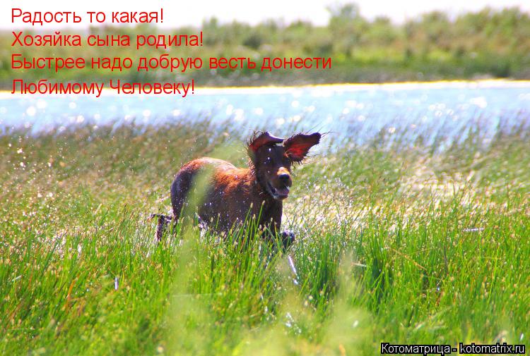 Котоматрица: Радость то какая! Хозяйка сына родила! Быстрее надо добрую весть донести Любимому Человеку!