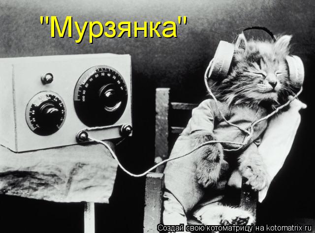 Котоматрица: "Мурзянка"