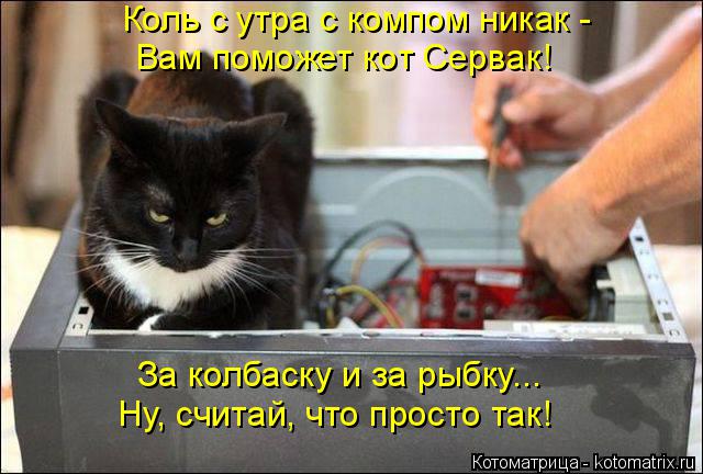 Котоматрица: Коль с утра с компом никак -  Вам поможет кот Сервак! За колбаску и за рыбку... Ну, считай, что просто так!