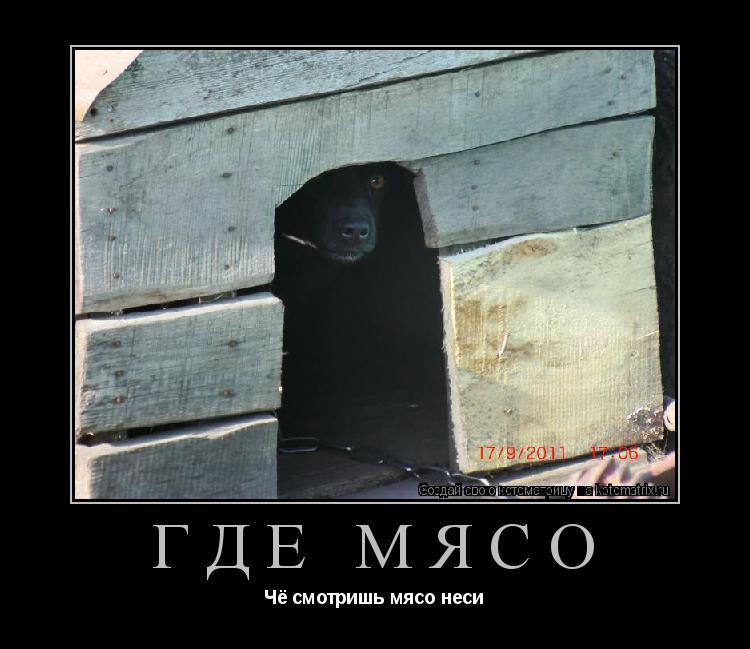 Котоматрица: ГДЕ МЯСО Чё смотришь мясо неси